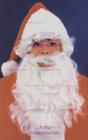 Santa Wig & Beard, Child