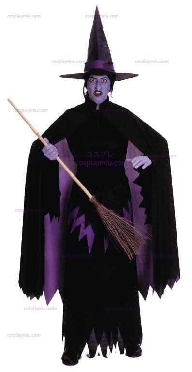 Wizard Of Oz Wicked Witch Of The West Adult cosplay pukuja