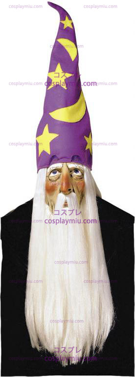 Wizard Naamio Hair and Hat